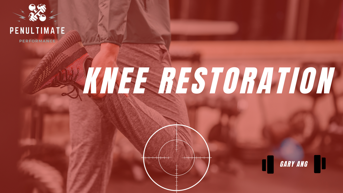 Knee Restoration